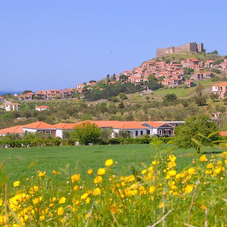 Elea Houses ميثيمْنا المظهر الخارجي الصورة